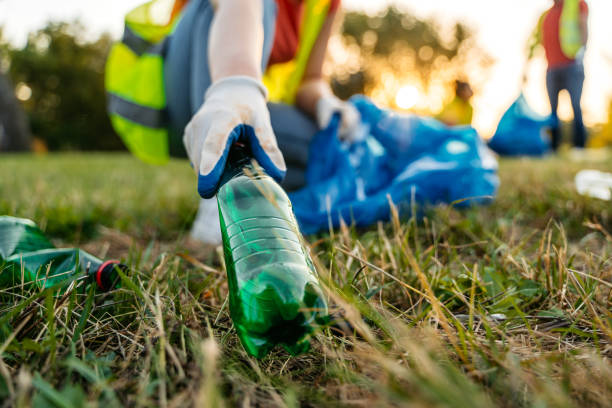 Yard Cleanup Services in Las Flores, CA